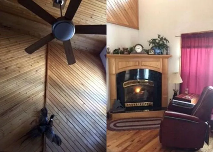 Rustic Pet-friendly With Private Deck Near Newcastle, Wyoming *