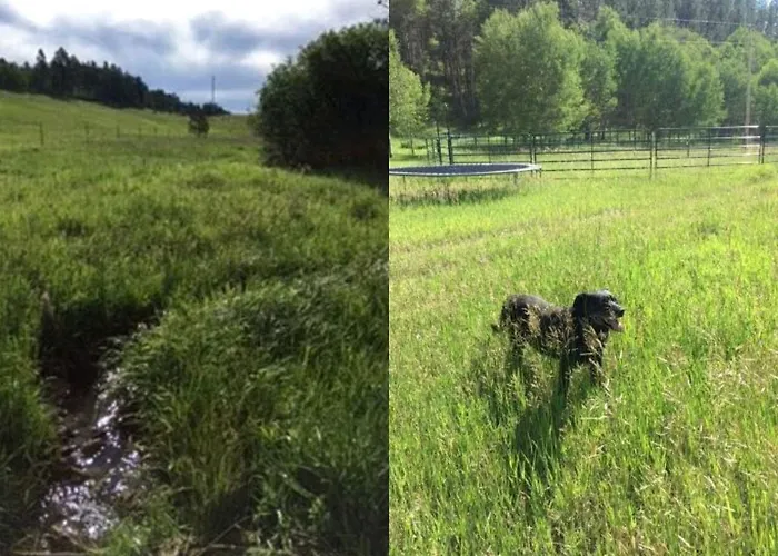 Rustic Pet-friendly With Private Deck Near Newcastle, Wyoming *